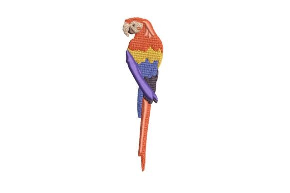 Vibrant Red Parrot Embroidery: A Designer’s Review